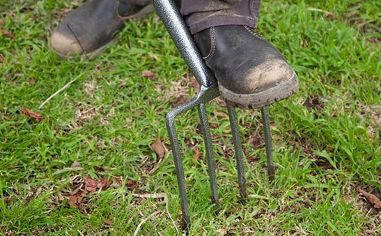 Gareth Austin Multi coloured Lawns leave well alone and help the