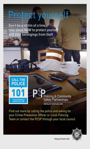 Image: Domestic Burglary Poster
