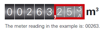 How to read my firmus energy meter